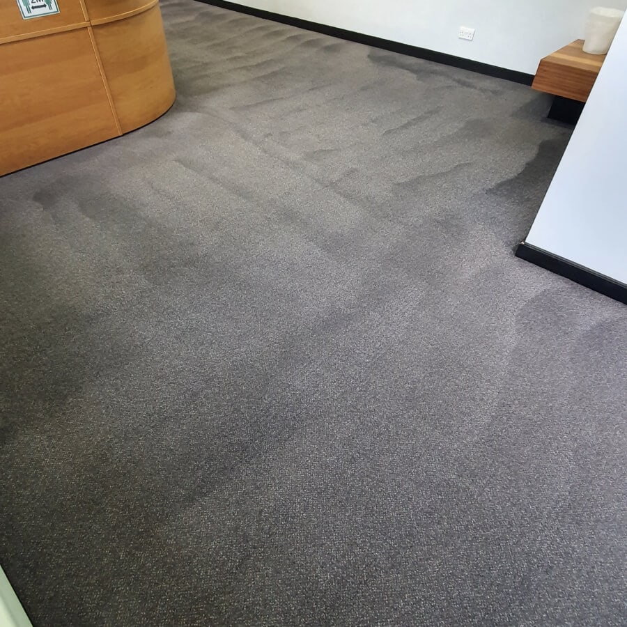 The same office carpet freshly deep cleaned, still drying