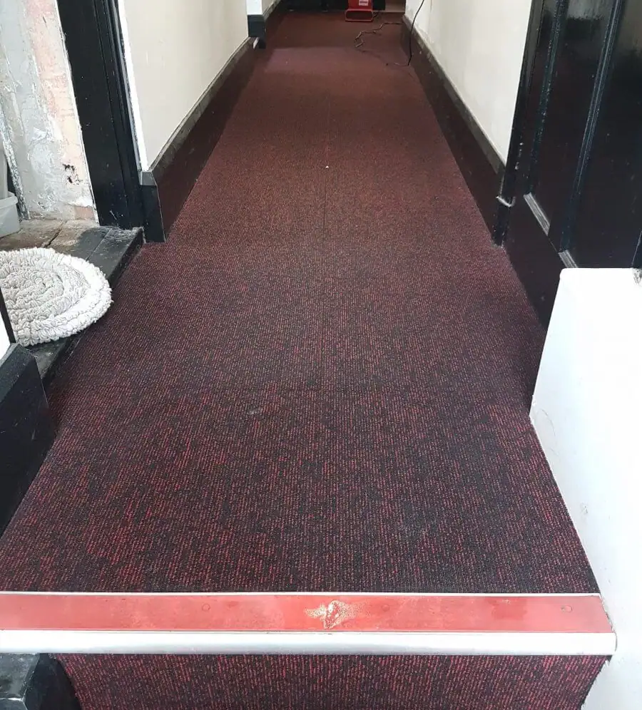 The same carpet restored after truck mounted deep cleaning